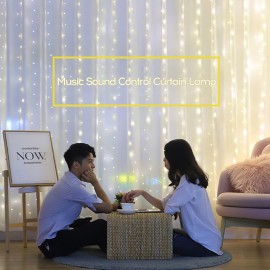 3*3-m USB Music Sound Control String Light Starry Curtain Lamp with Remote Home Decoration Lamp