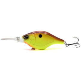 color 6 +$18.00