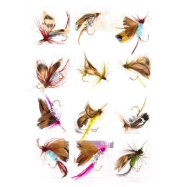 12pcs Fly Fishing Flies Kit Fly Fishing Lures Assortment Kit