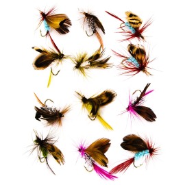 12pcs Fly Fishing Flies Kit Fly Fishing Lures Assortment Kit
