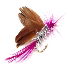 12pcs Fly Fishing Flies Kit Fly Fishing Lures Assortment Kit