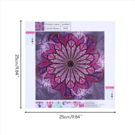 Diamond Painting DIY 5D Diamond Painting Special Shape Diamond Paintings Kits Arts Craft for Room Wall Decoration