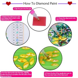 Diamond Painting DIY 5D Diamond Painting Special Shape Diamond Paintings Kits Arts Craft for Room Wall Decoration