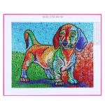 Diamond Painting DIY 5D Diamond Painting Special Shape Diamond Paintings Kits Arts Craft for Room Wall Decoration
