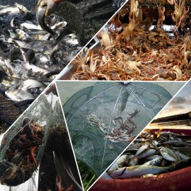 Fishing Bait Trap Folded Crab Net Crawdad Automatic Fishing Shrimp Cast Dip Cage Fish Minnow Foldable Fishnet (6 Holes)