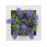 Artificial Simulation Plants 3D Wall Hanging / Desktop Flowers Faux Plants Photo Frame for Home Office Desk Wall Decor Gift