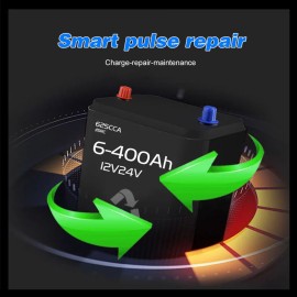 Intelligent Automatic Battery Charger 12V/24V Battery Charger Reconditioner Pulse Repair with Digital Display for Car Cell Motorcycle Battery Lithium Battery